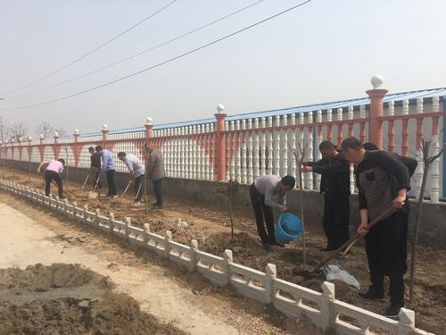 春季綠化為項目部披上“靚裝”