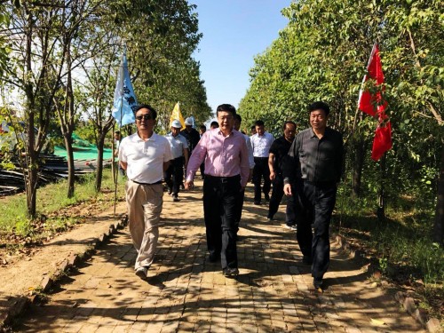 陜西省總工會黨組書記、主席白阿瑩一行蒞臨鄠邑區(qū)調(diào)研考察草堂寺健康養(yǎng)老示范項(xiàng)目