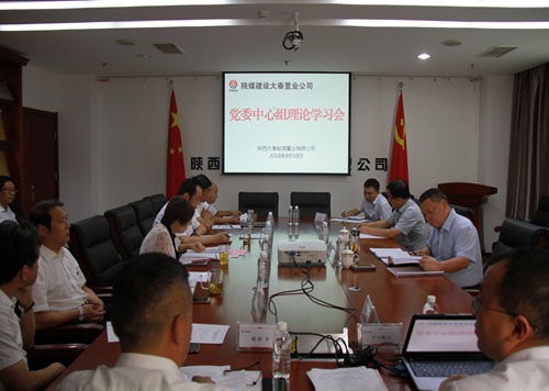 寧興剛旁聽督導(dǎo)大秦置業(yè)公司黨委中心組理論學(xué)習(xí)