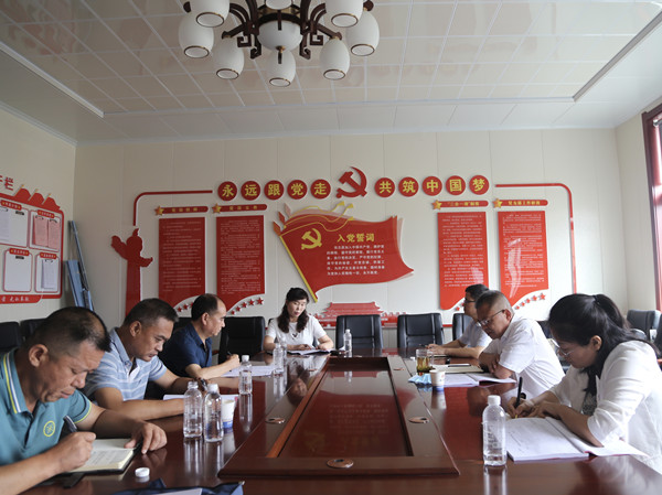 陜煤建設(shè)機(jī)電安裝公司召開(kāi)黨支部標(biāo)準(zhǔn)化建設(shè)督導(dǎo)推進(jìn)會(huì)