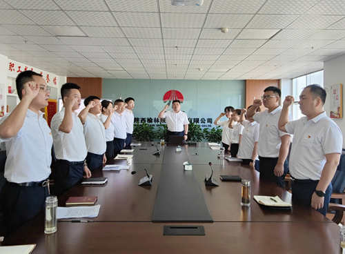 陜煤建設(shè)榆林公司黨支部開展“重溫入黨誓詞 堅定理想信念”主題黨日活動