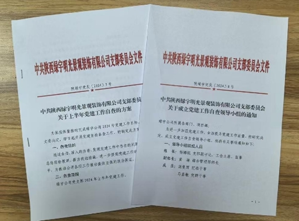 自我審視 黨建先行