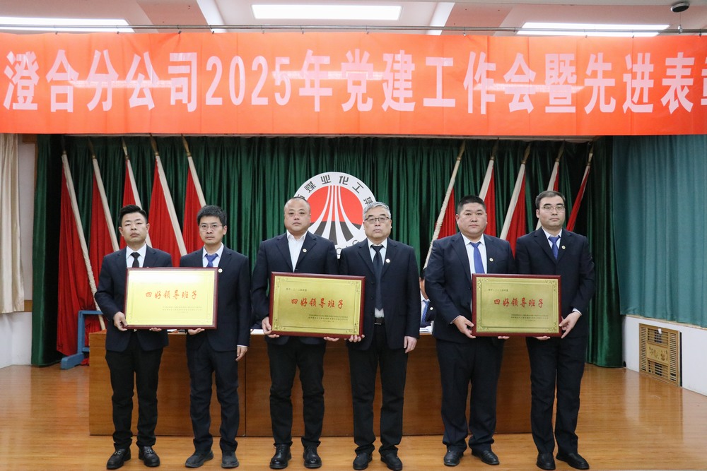 陜煤建設(shè)澄合分公司召開2025年黨建工作會暨先進表彰會