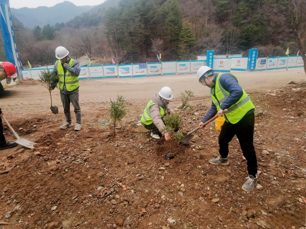 “植”此青綠，陜煤建設(shè)路橋分公司春風(fēng)十里添新林