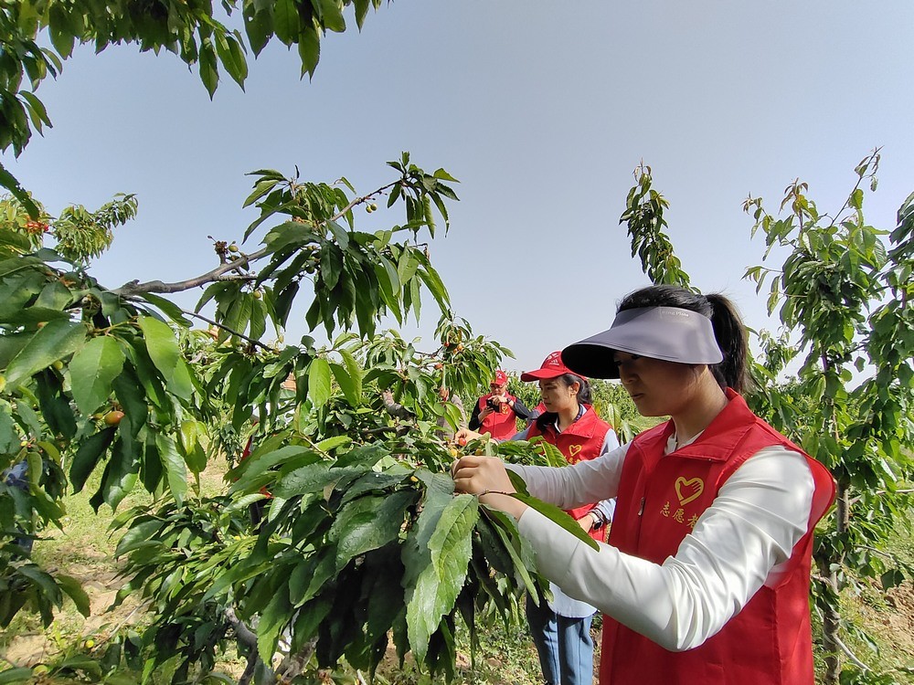 陜煤建設(shè)澄合分公司：助力農(nóng)耕踐初心 防災(zāi)宣傳擔(dān)使命