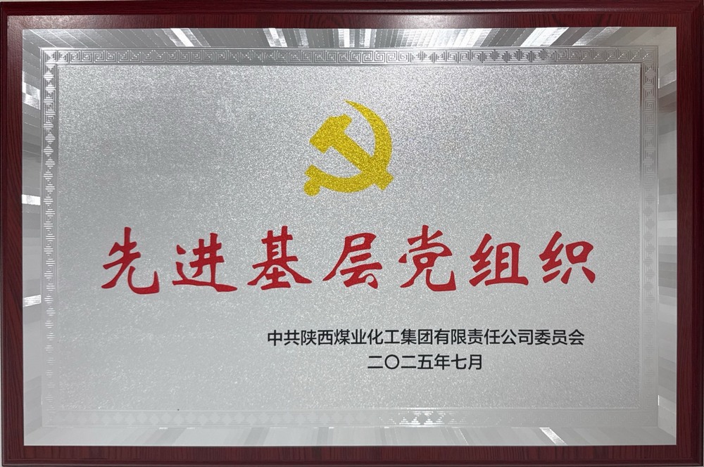 陜煤建設(shè)綠宇公司：榮獲陜煤集團“先進基層黨組織”稱號